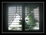 View from my Window