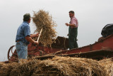 Le battage de la moisson