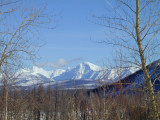 Glacier Park White Mountains.jpg