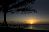 Palm Pier Sunrise