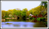 Central Park Bridge