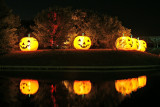Glowing Pumpkins