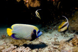 Img_7528pf.jpg