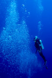 Img_8258pf2.jpg