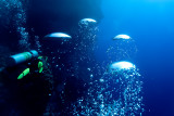 IMG_4129pb.jpg