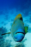 IMG_5325pf.jpg