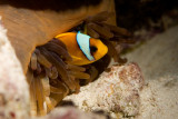 IMG_4906pb.jpg
