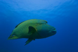 IMG_5483pb.jpg