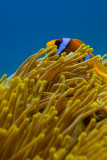 Img_5101fp.jpg