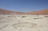 Dead Vlei