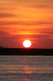 Sunset - Chobe N.P.