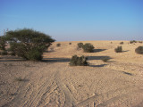 way to Musfer sinkhole, not easy to find