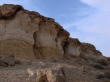 The Fossil Hill