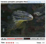 V panoptes panoptes 2.jpg