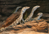 four amigos.jpg