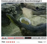 V panoptes panoptes.jpg
