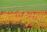 DSC07081pb.jpg
