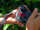 Through the LCD