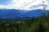 Grizzly Bear Refuge - Kicking Horse