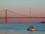 Tejo