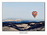 Morning Flight