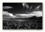 North Bishop