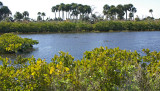 View of Merritt Island Wildlife Refuge