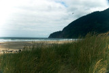Neah Kah Nie Beach