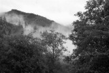 Fog In The Mountains