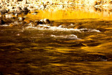 River Of Gold