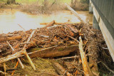 Small Log Jam