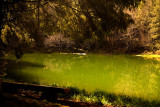 Tahoe Lake 2