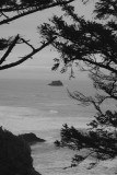 Taken Near Arch Cape