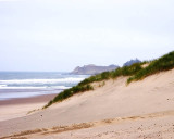 Pacific City 2