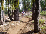 Sunrise trail; Cathy