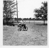 Doyle in June. 1960.jpg