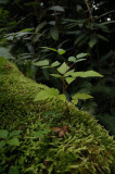 IMGP8463.jpg