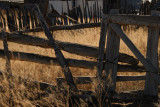 web_0753.jpg