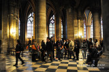 Notre Dame D700_05999 copy.jpg