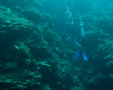 Alson exploring the reef