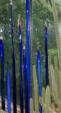 Chihuly - Blue glass cacti