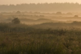 Bakkum, Netherlands 2006