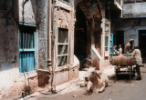 New Dehli, India 1990