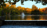 DSC_7830a.jpg