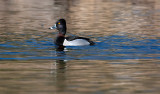 DSC_5842a.jpg