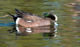 DSC_6333a.jpg
