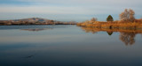 DSC_4620a.jpg