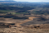 DSC_4838a.jpg