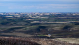 DSC_4850a.jpg