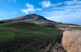 DSC_4855a.jpg